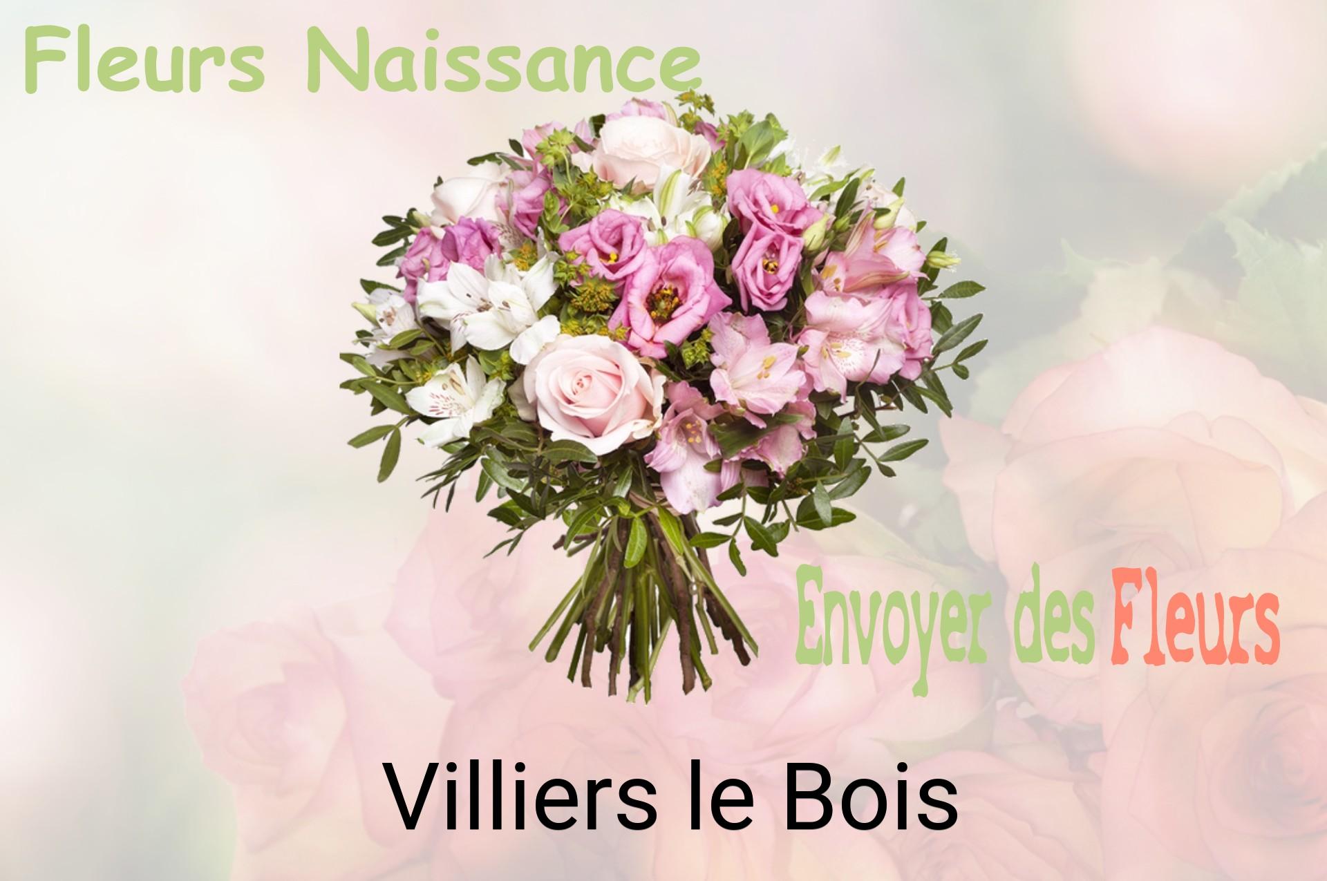 Bouquet de fleurs de naissance livré à Villiers-le-Bois