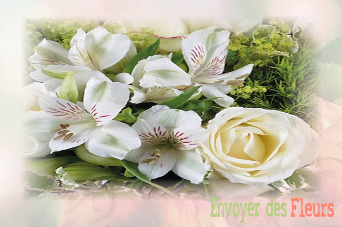 envoyer des fleurs à à VILLIERS-LE-BOIS