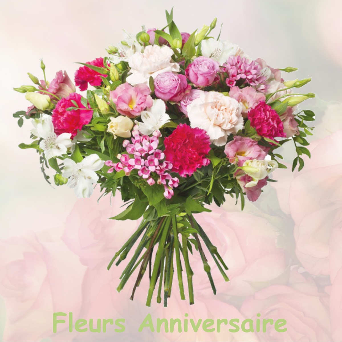 fleurs anniversaire VILLIERS-LE-BOIS