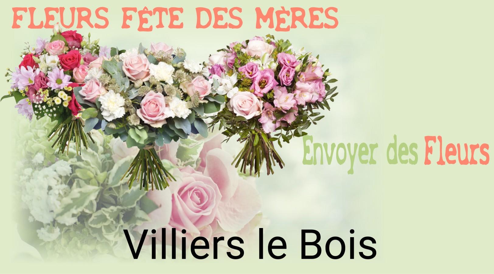 Bouquet de Fête des Mères livré à Villiers-le-Bois
